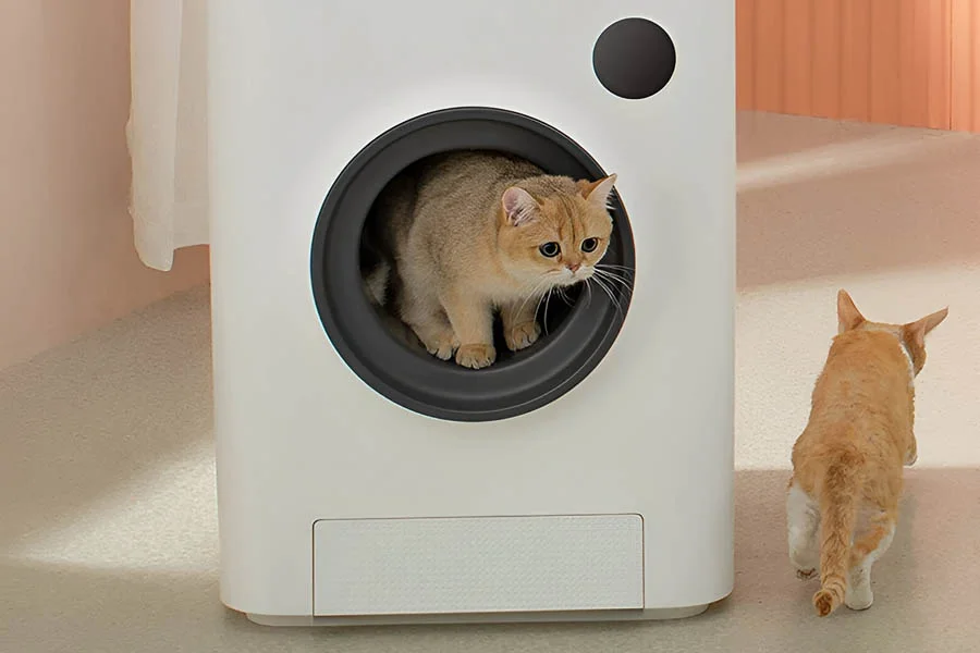 robot cat litter box