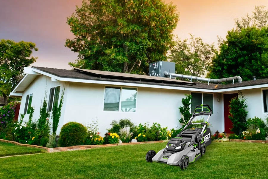 lawn mower for a small yard