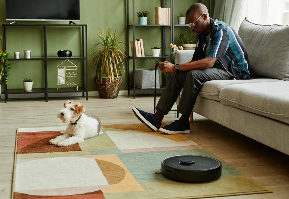 robot vacuum cleaner room mapping