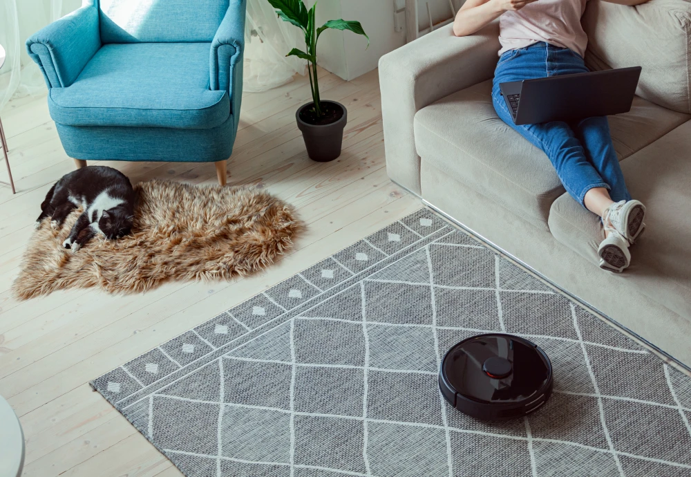 robot vacuum cleaner room mapping